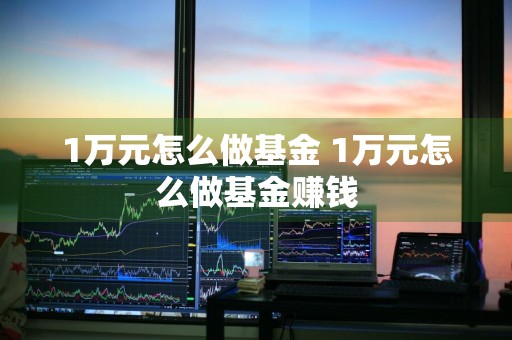 1万元怎么做基金 1万元怎么做基金赚钱