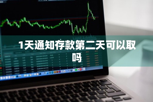 1天通知存款第二天可以取吗