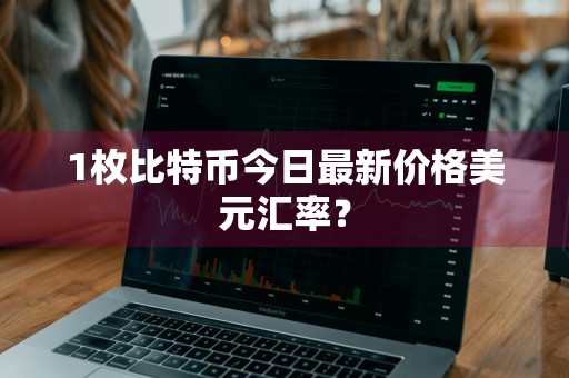 1枚比特币今日最新价格美元汇率？
