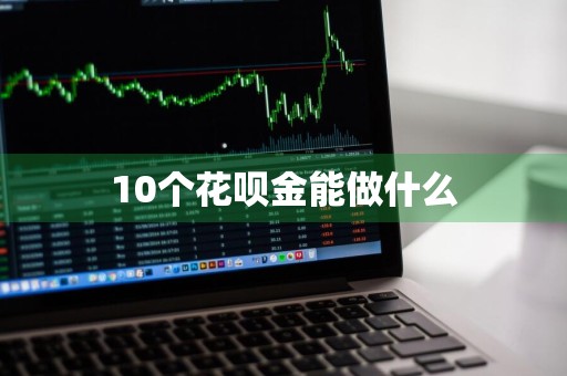 10个花呗金能做什么