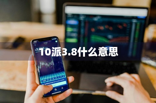 10派3.8什么意思