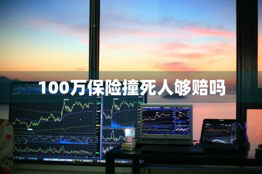 100万保险撞死人够赔吗