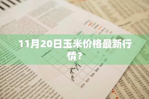 11月20日玉米价格最新行情？