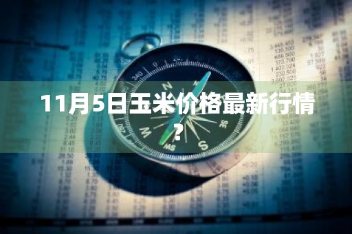 11月5日玉米价格最新行情？