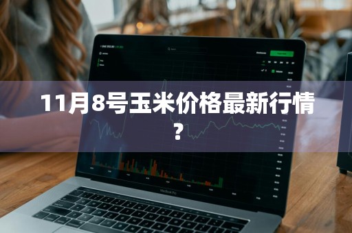 11月8号玉米价格最新行情？