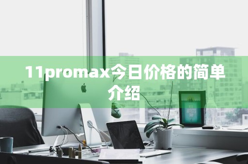 11promax今日价格的简单介绍