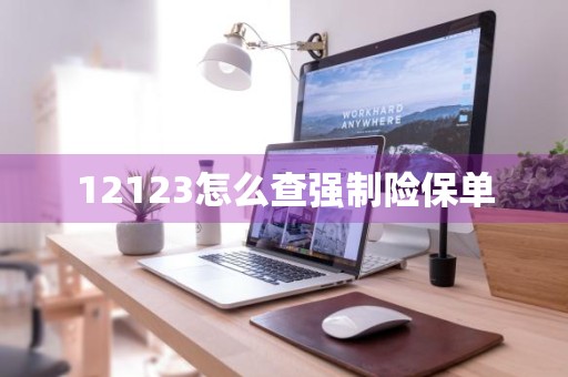 12123怎么查强制险保单