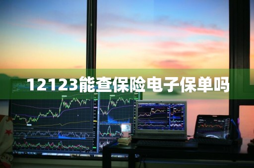 12123能查保险电子保单吗