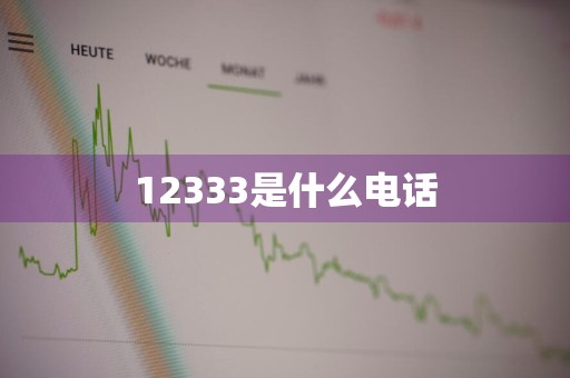 12333是什么电话