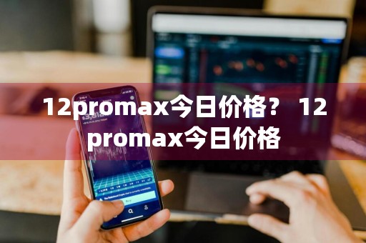 12promax今日价格？ 12promax今日价格