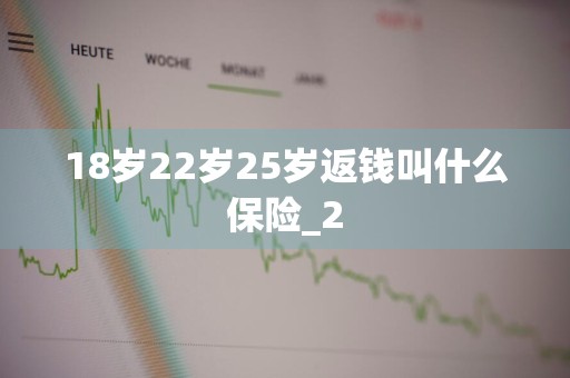 18岁22岁25岁返钱叫什么保险_2
