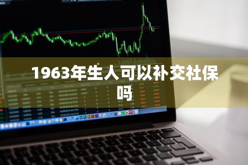 1963年生人可以补交社保吗