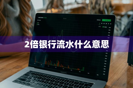 2倍银行流水什么意思
