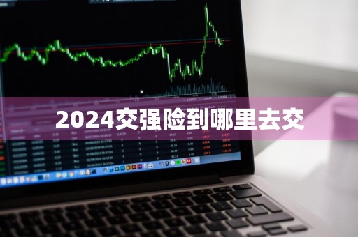 2024交强险到哪里去交