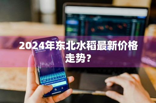 2024年东北水稻最新价格走势？