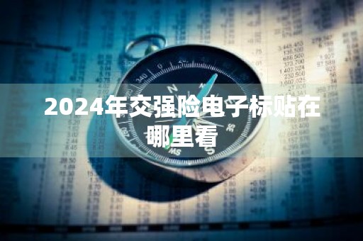 2024年交强险电子标贴在哪里看
