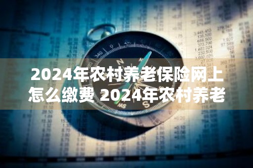 2024年农村养老保险网上怎么缴费 2024年农村养老保险网上怎么缴费呢