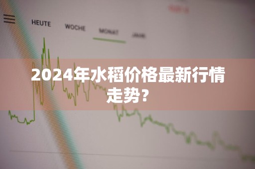 2024年水稻价格最新行情走势？
