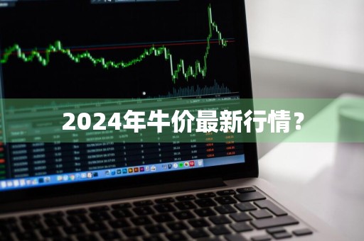 2024年牛价最新行情？