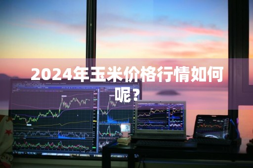2024年玉米价格行情如何呢？