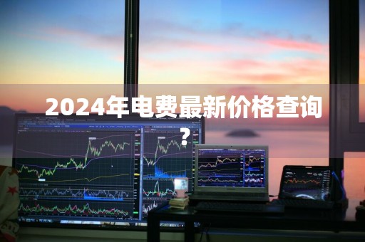 2024年电费最新价格查询？