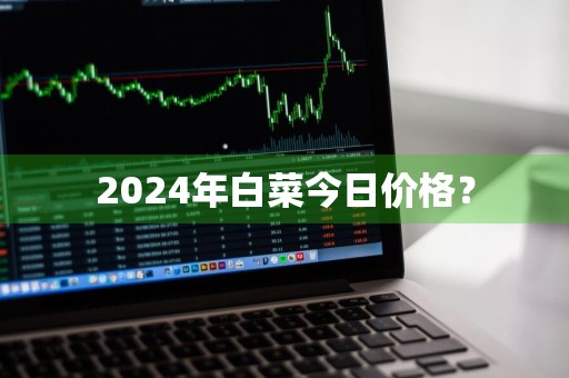 2024年白菜今日价格？