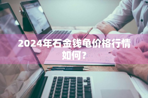 2024年石金钱龟价格行情如何？