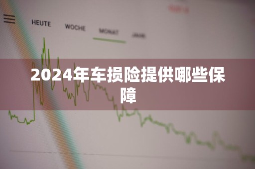 2024年车损险提供哪些保障
