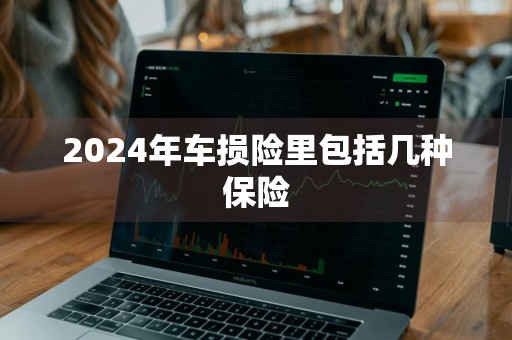 2024年车损险里包括几种保险