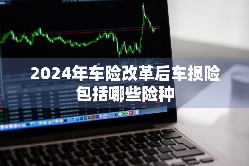 2024年车险改革后车损险包括哪些险种