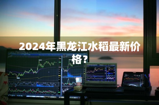 2024年黑龙江水稻最新价格？