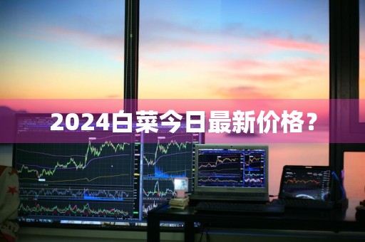 2024白菜今日最新价格？