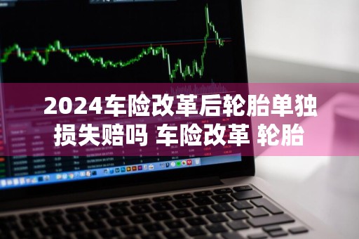 2024车险改革后轮胎单独损失赔吗 车险改革 轮胎