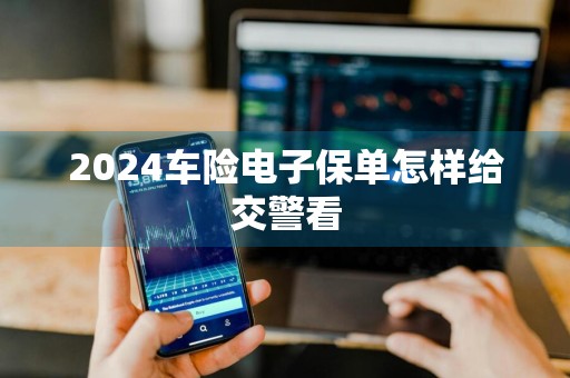 2024车险电子保单怎样给交警看