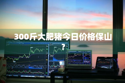 300斤大肥猪今日价格保山？