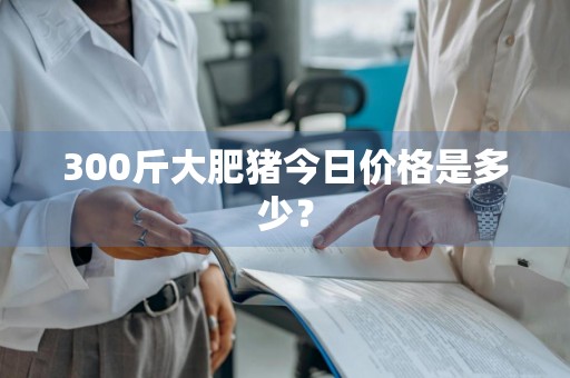 300斤大肥猪今日价格是多少？