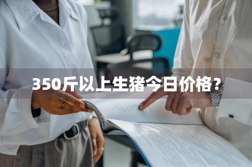 350斤以上生猪今日价格?