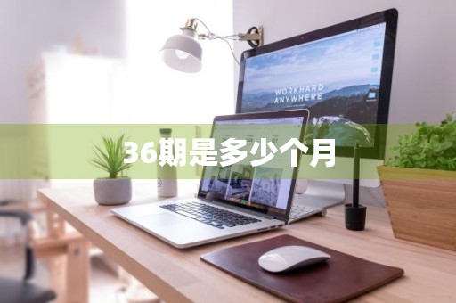 36期是多少个月