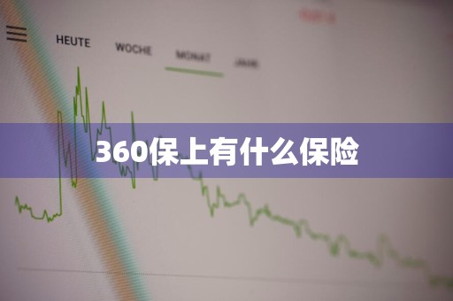 360保上有什么保险