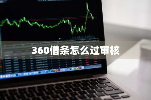 360借条怎么过审核
