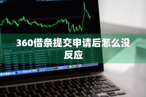 360借条提交申请后怎么没反应