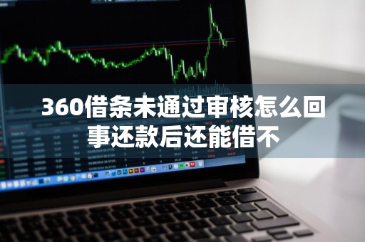 360借条未通过审核怎么回事还款后还能借不