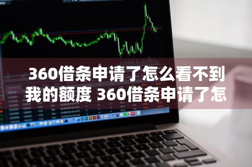 360借条申请了怎么看不到我的额度 360借条申请了怎么看不到我的额度了