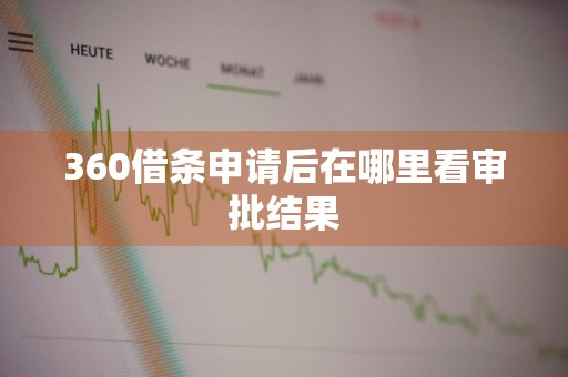 360借条申请后在哪里看审批结果