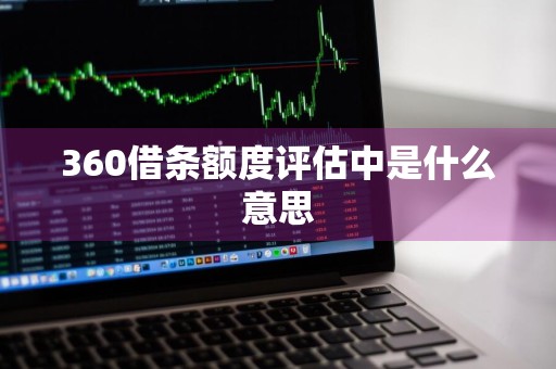 360借条额度评估中是什么意思