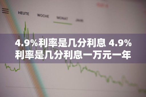 4.9%利率是几分利息 4.9%利率是几分利息一万元一年多少钱