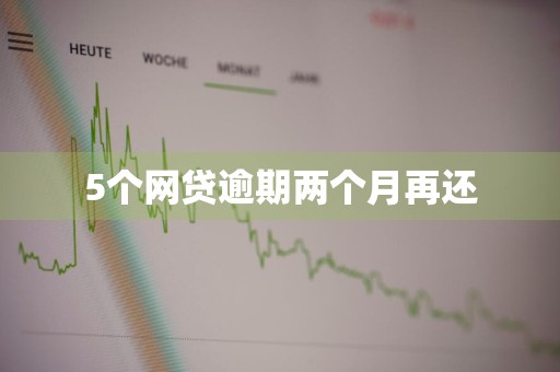 5个网贷逾期两个月再还