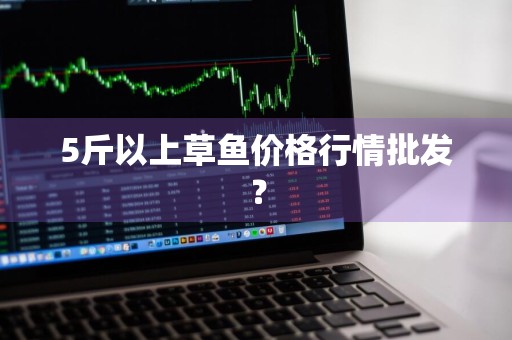5斤以上草鱼价格行情批发？