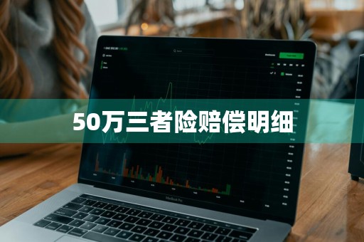 50万三者险赔偿明细