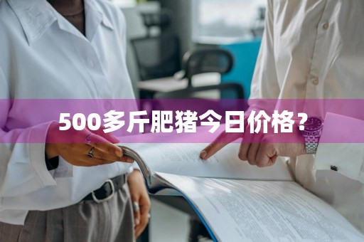 500多斤肥猪今日价格？